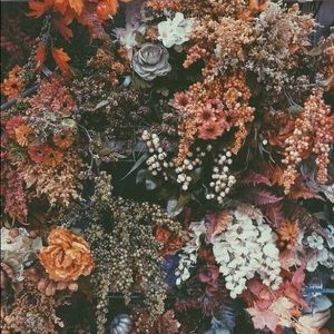 4 camera crochet bags and donut